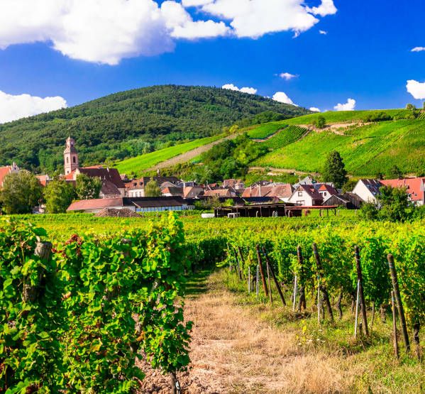 Vignoble alsacien