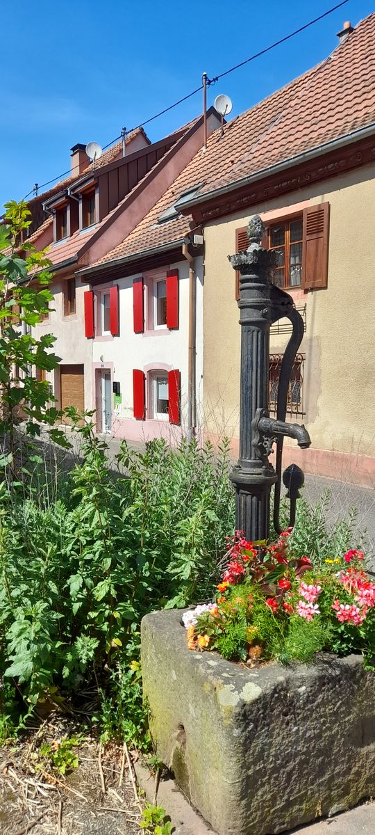 Gîte Le Villois : maison de ville aux volets rouges