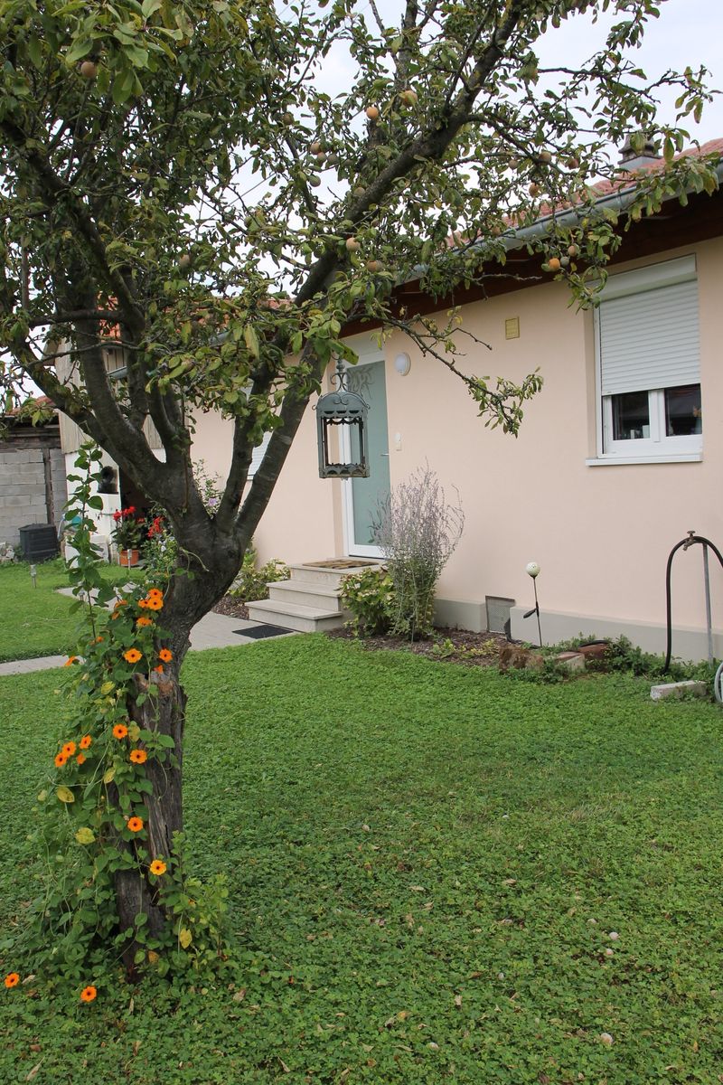 La maison Viala