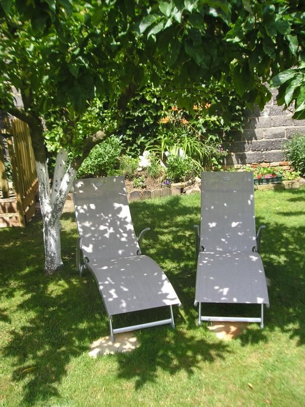 relaxe à l'ombre
