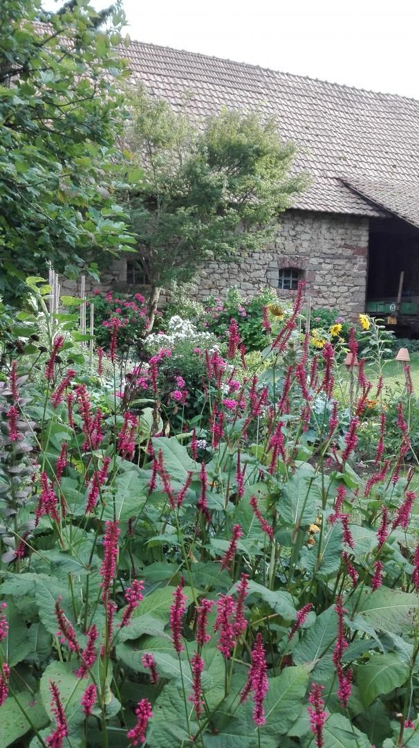 Jardin