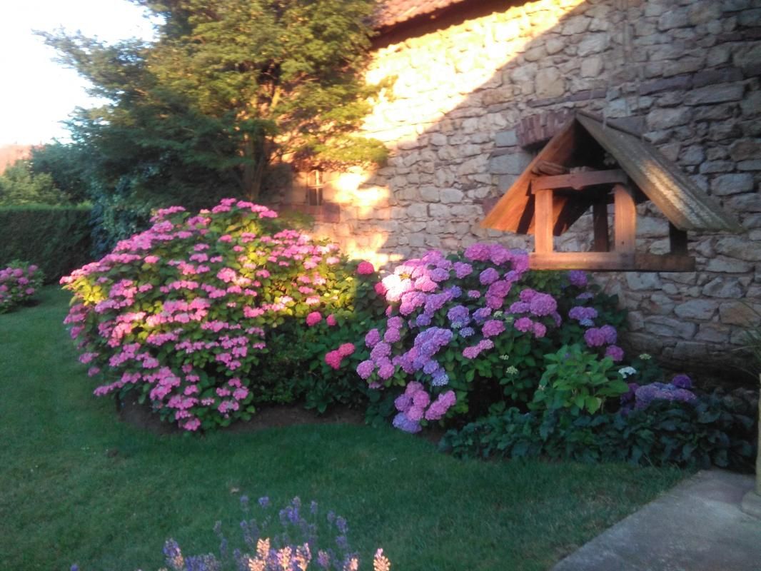 Jardin