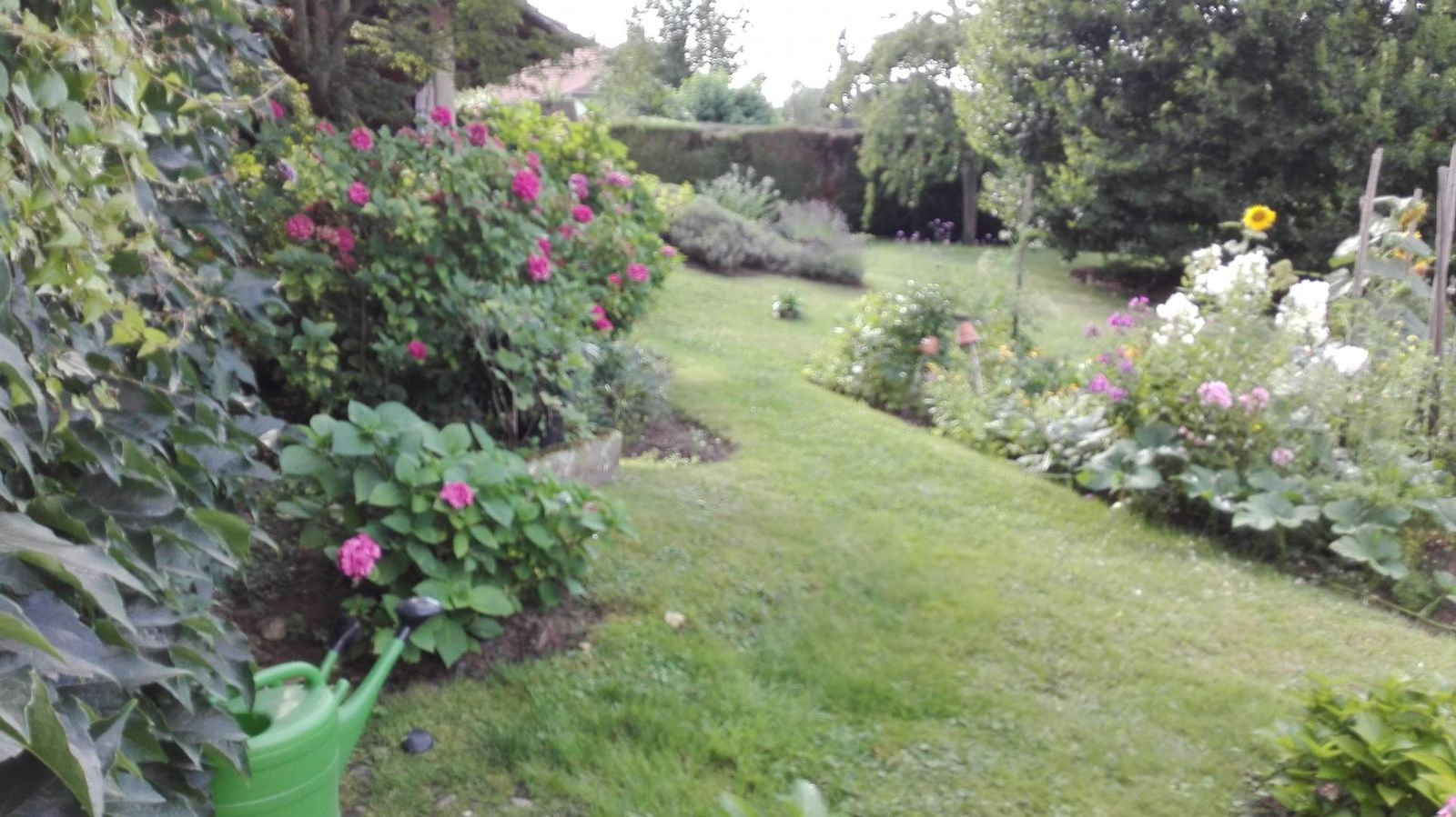 Jardin