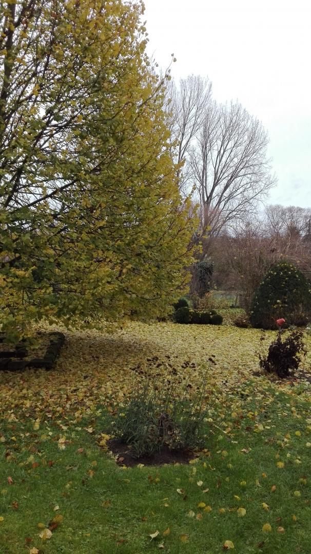 Jardin
Lkk