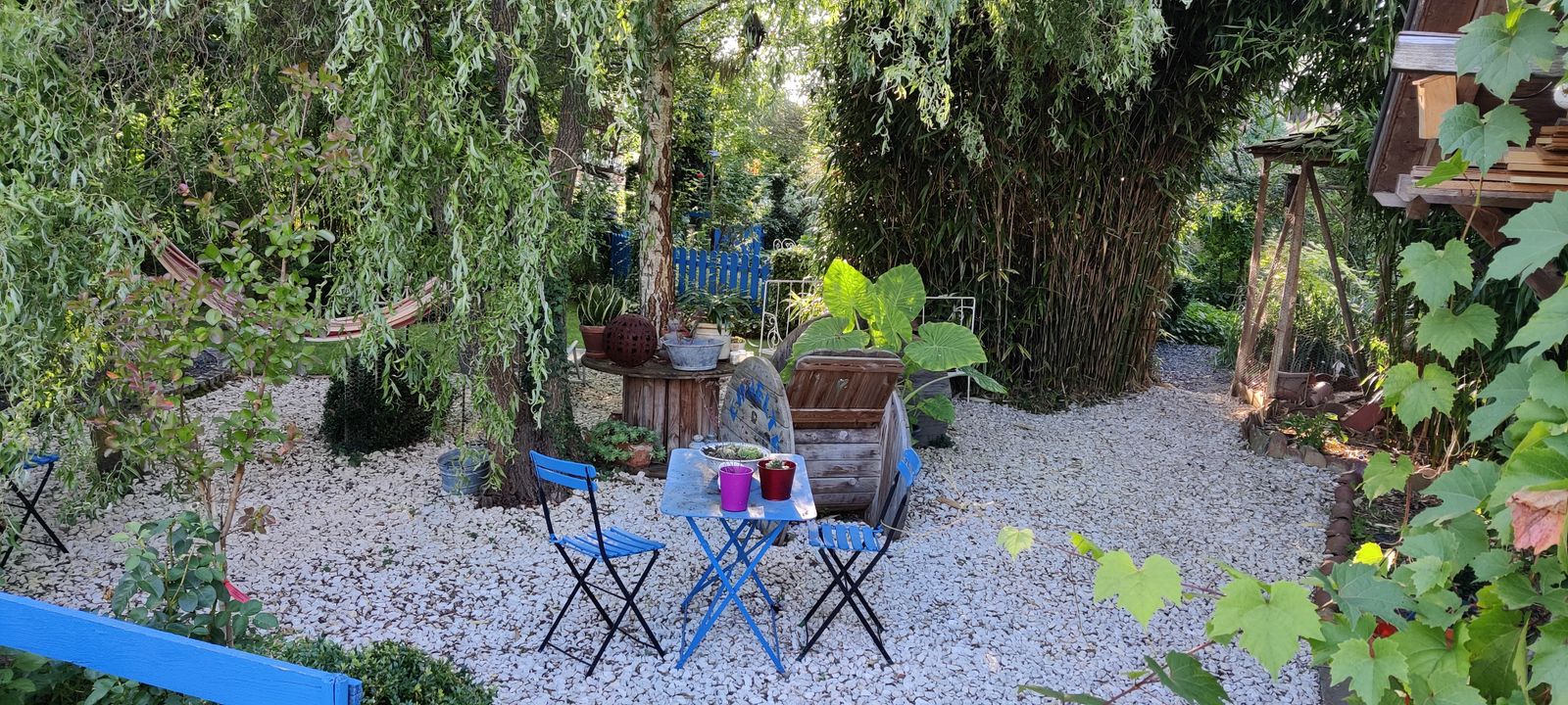 jardin 3
