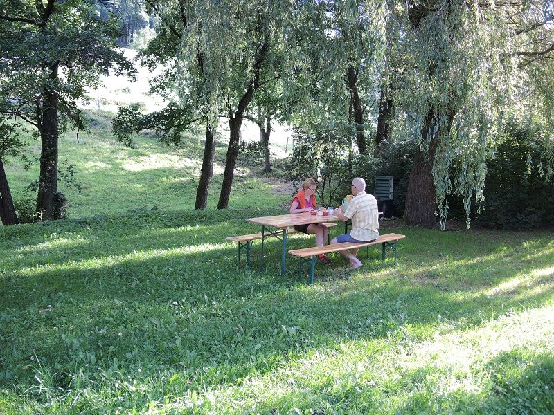 petit déjeuner estival sous le saule