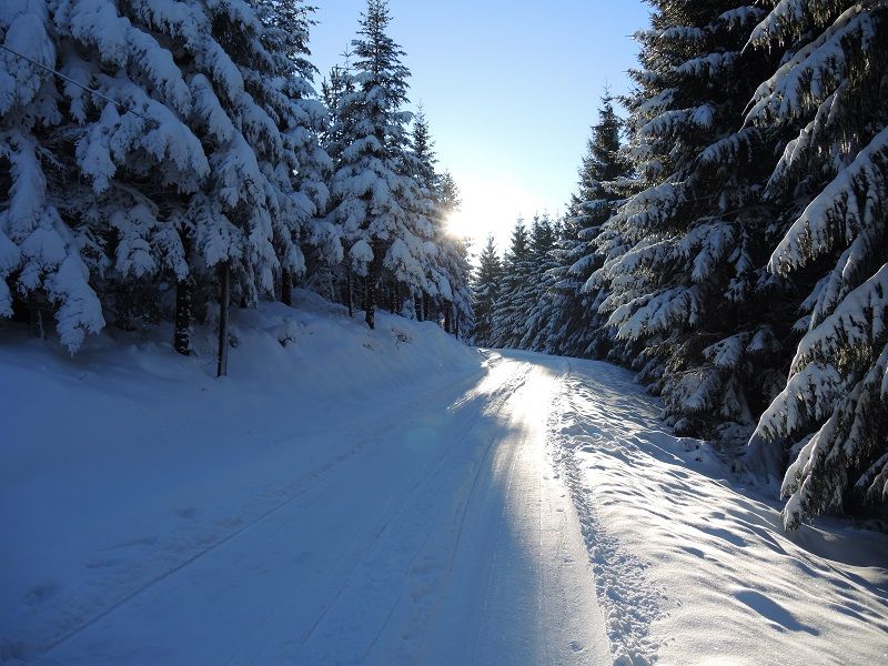 piste de ski de fond du Hengst