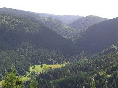 le sauvage vallon d'Engenthal (Val Etroit)