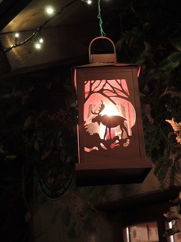 déco

lumière de fin d'année

