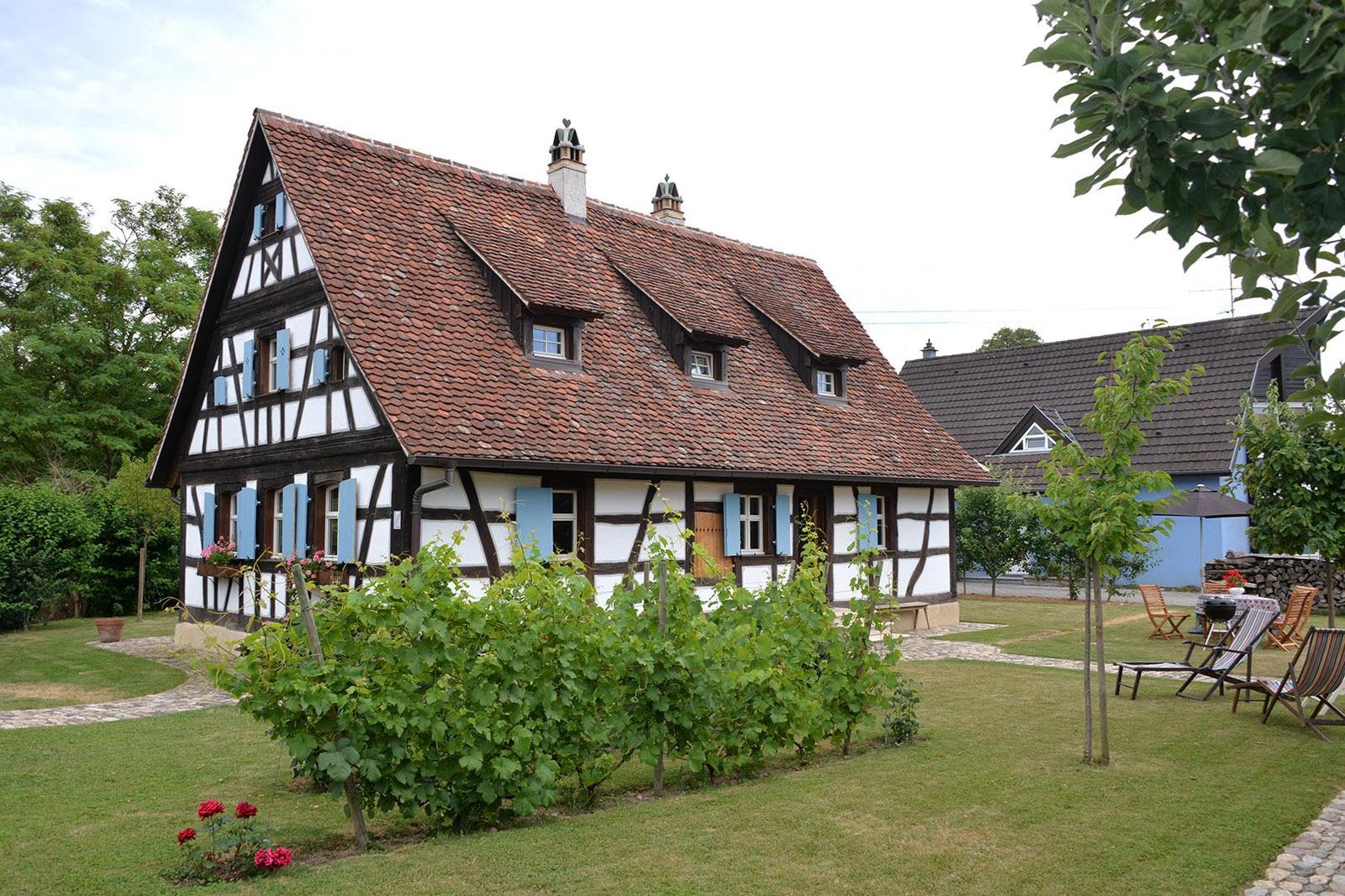 Photo_1