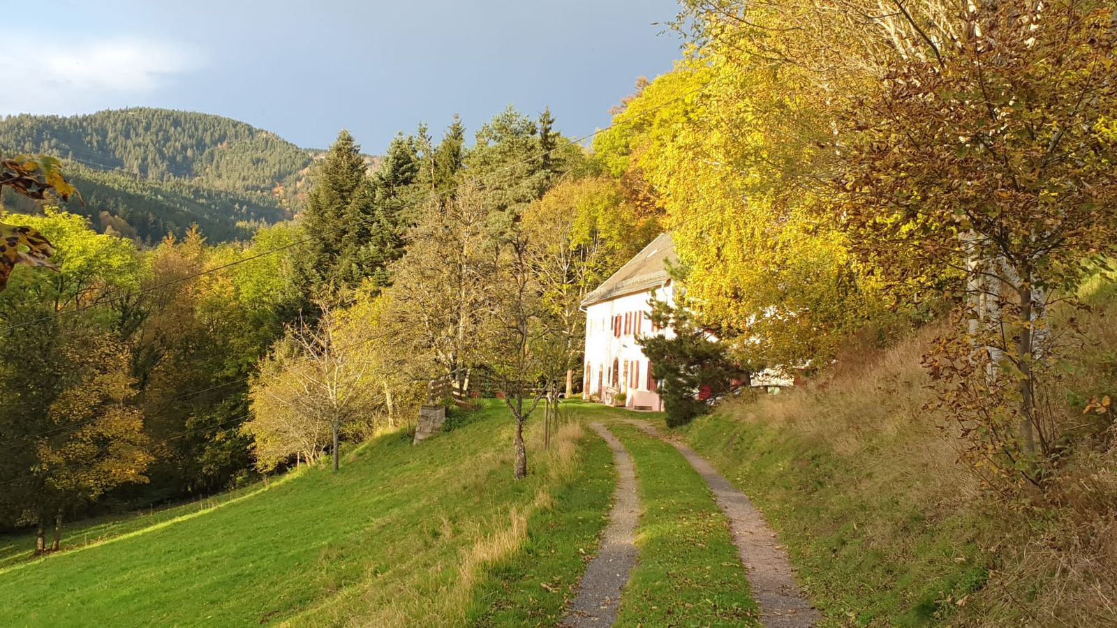Gîte de la Sittelle