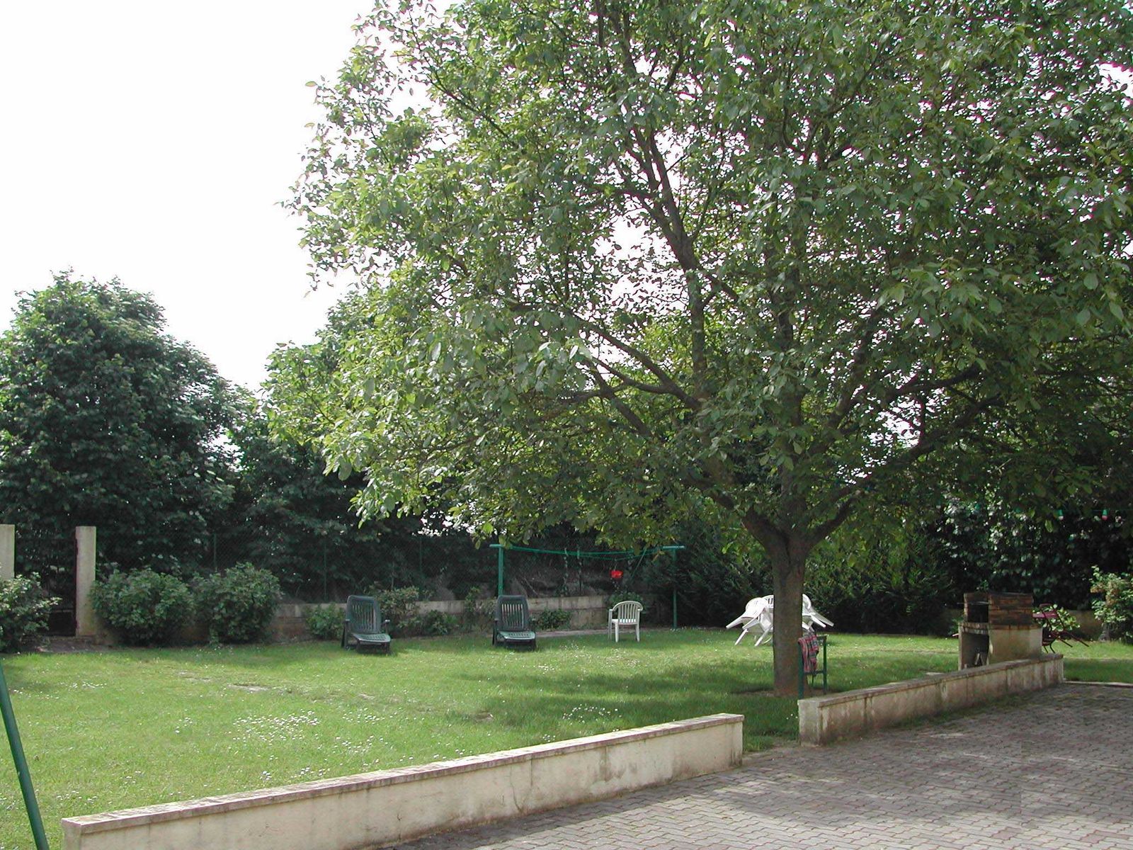 Les Acacias