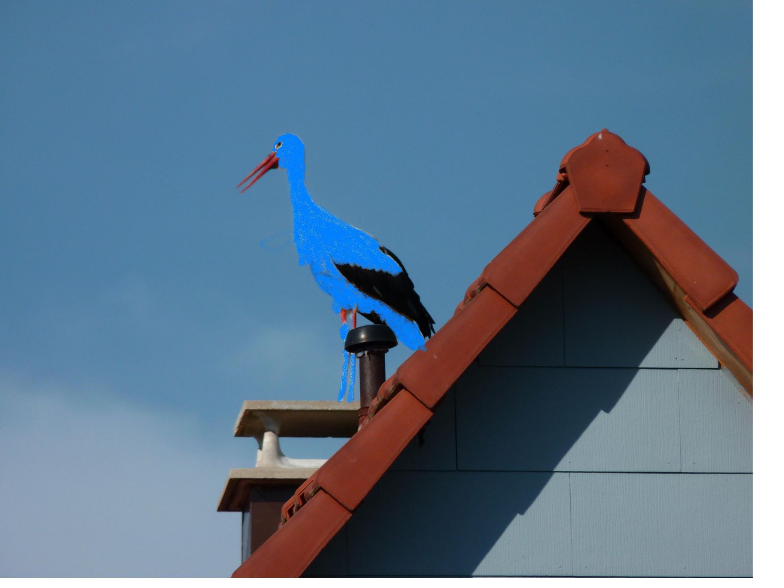 la cigogne bleue