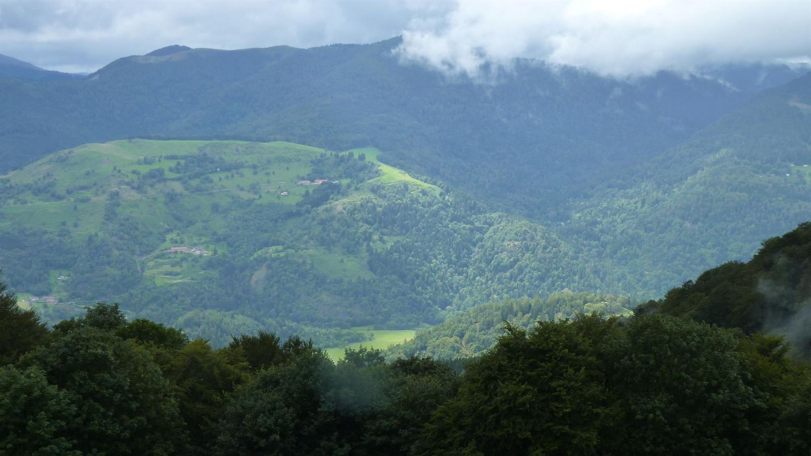 Les vosges   le Treh