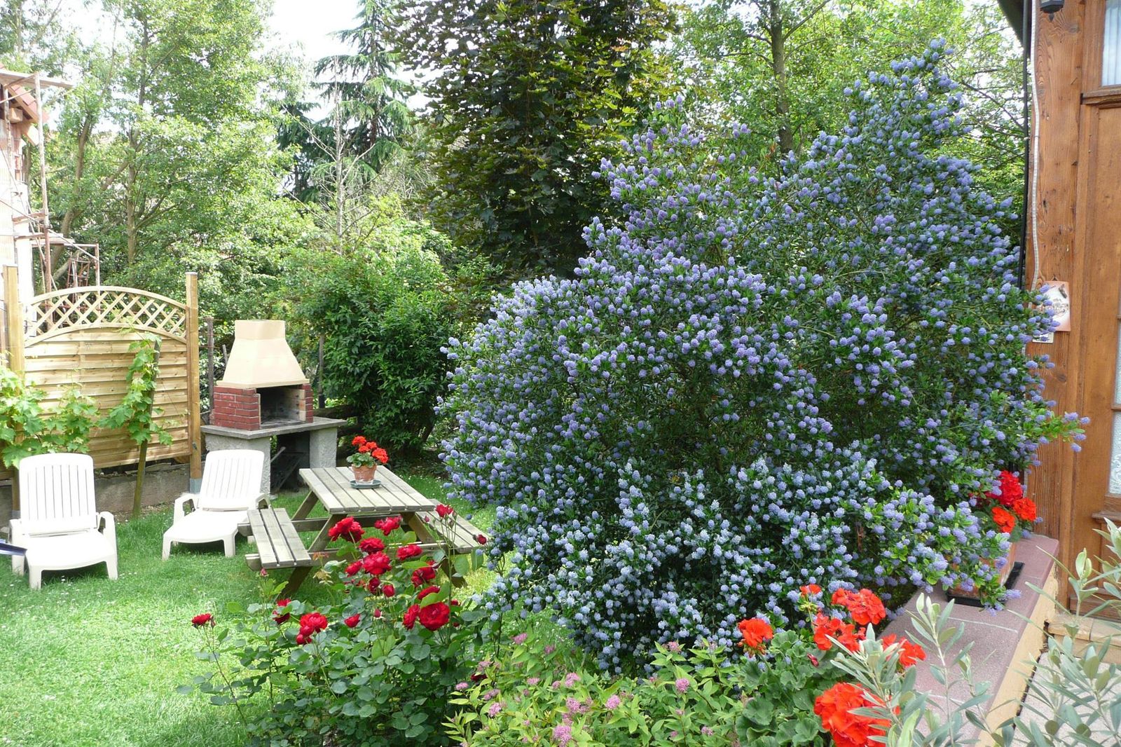 jardin