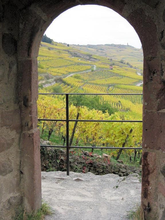 Kaysersberg vue du chateau
