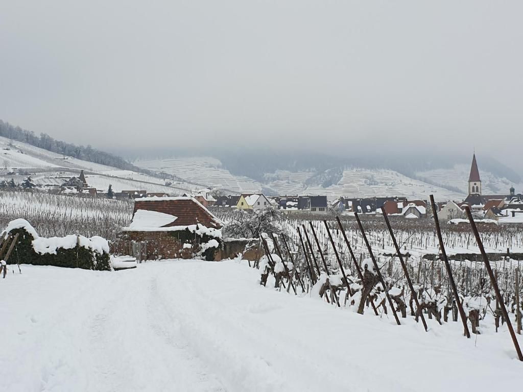 Ammerschwihr sous la neige