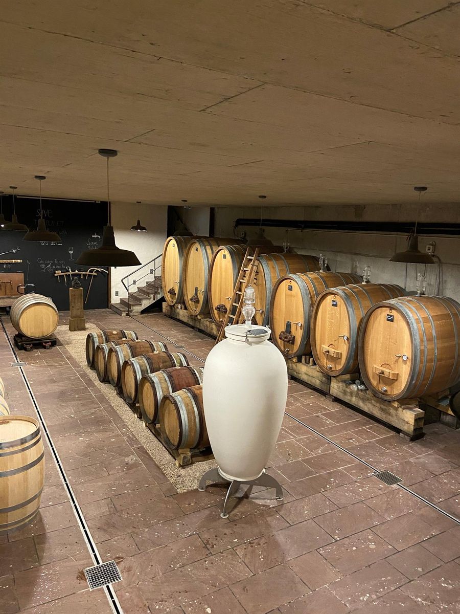 Cave de vinification du domaine
