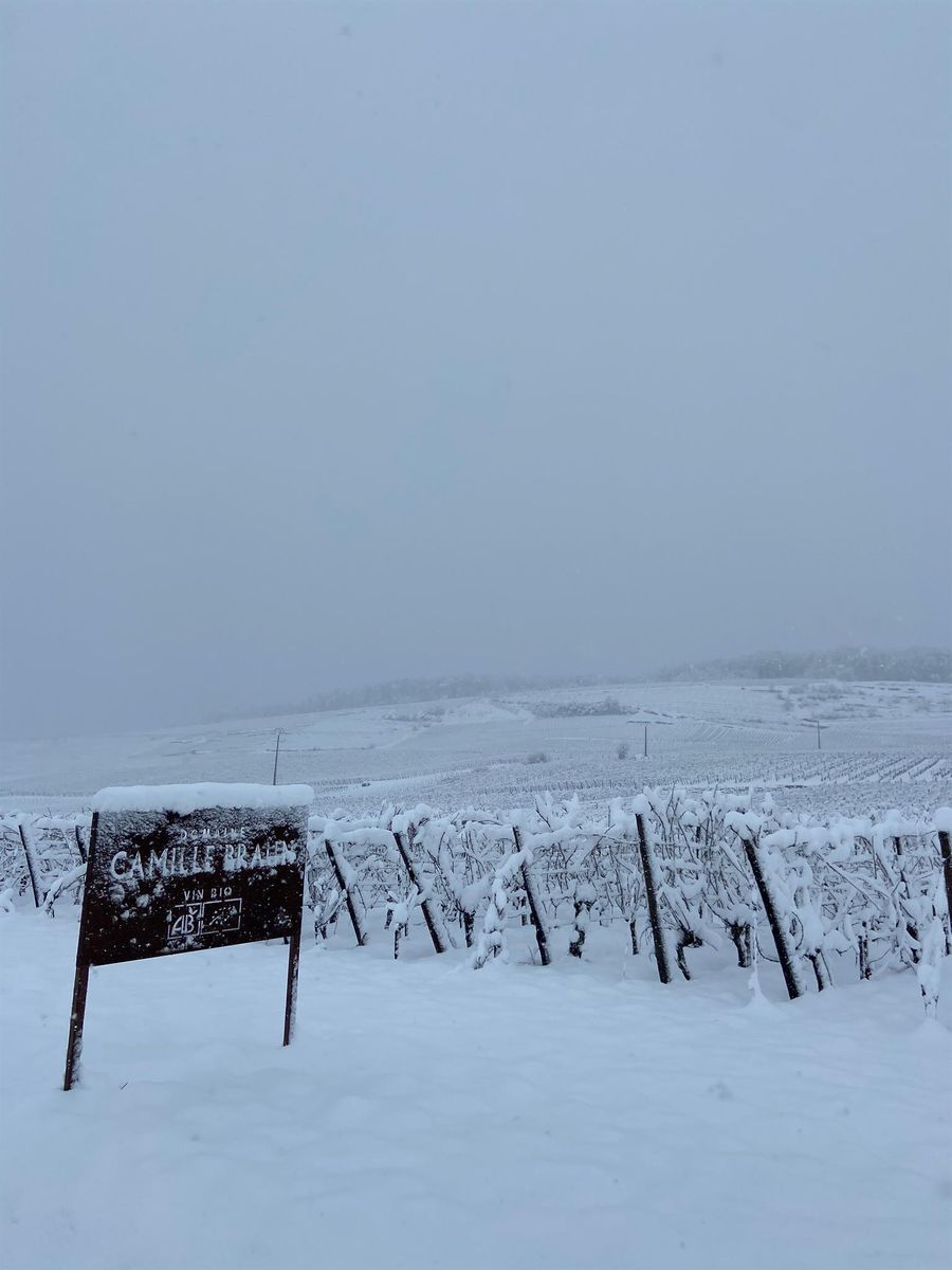 Neige en abondance en ce mois de Janvier 2021