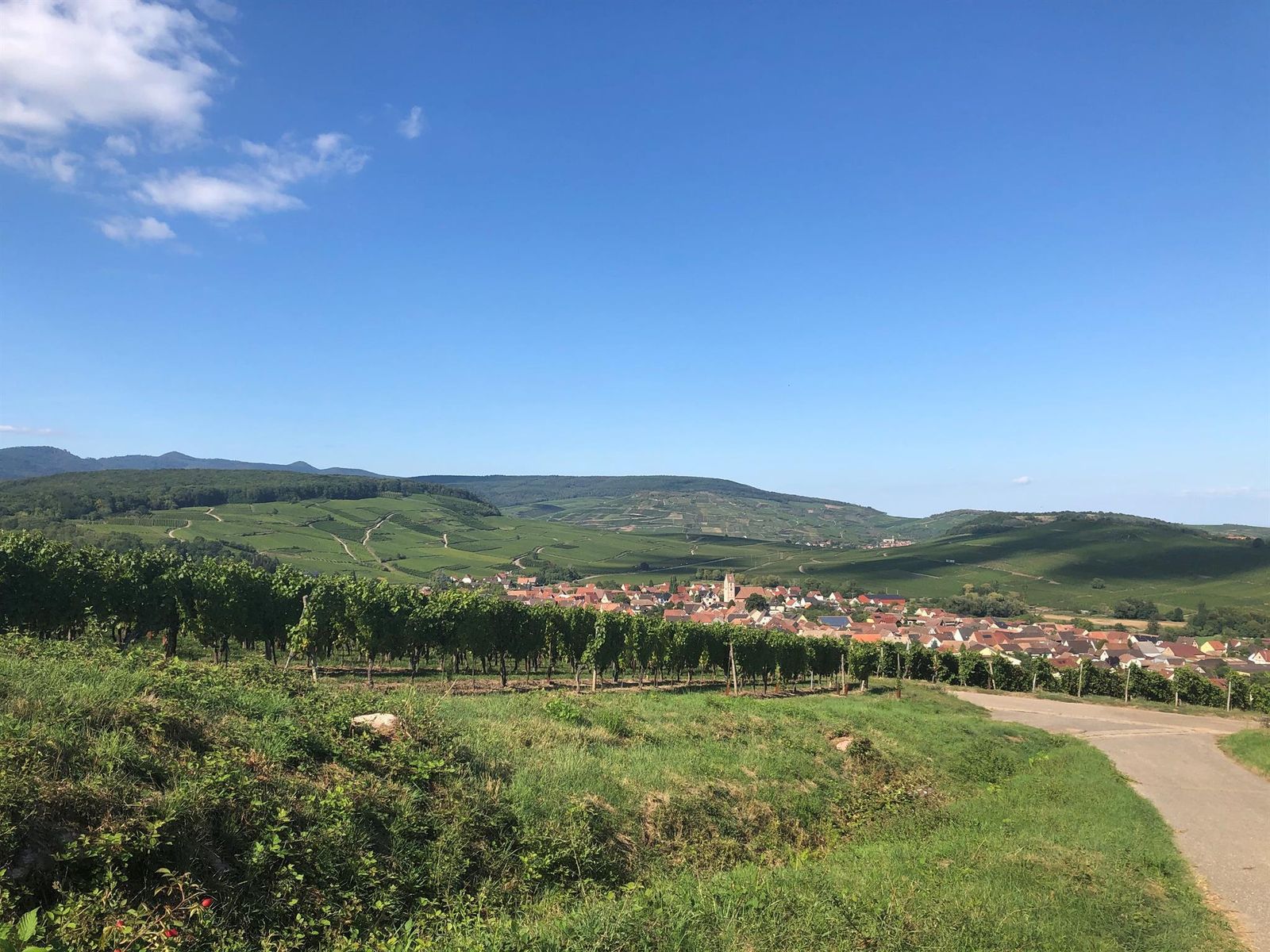 Orschwihr situé au coeur du vignoble