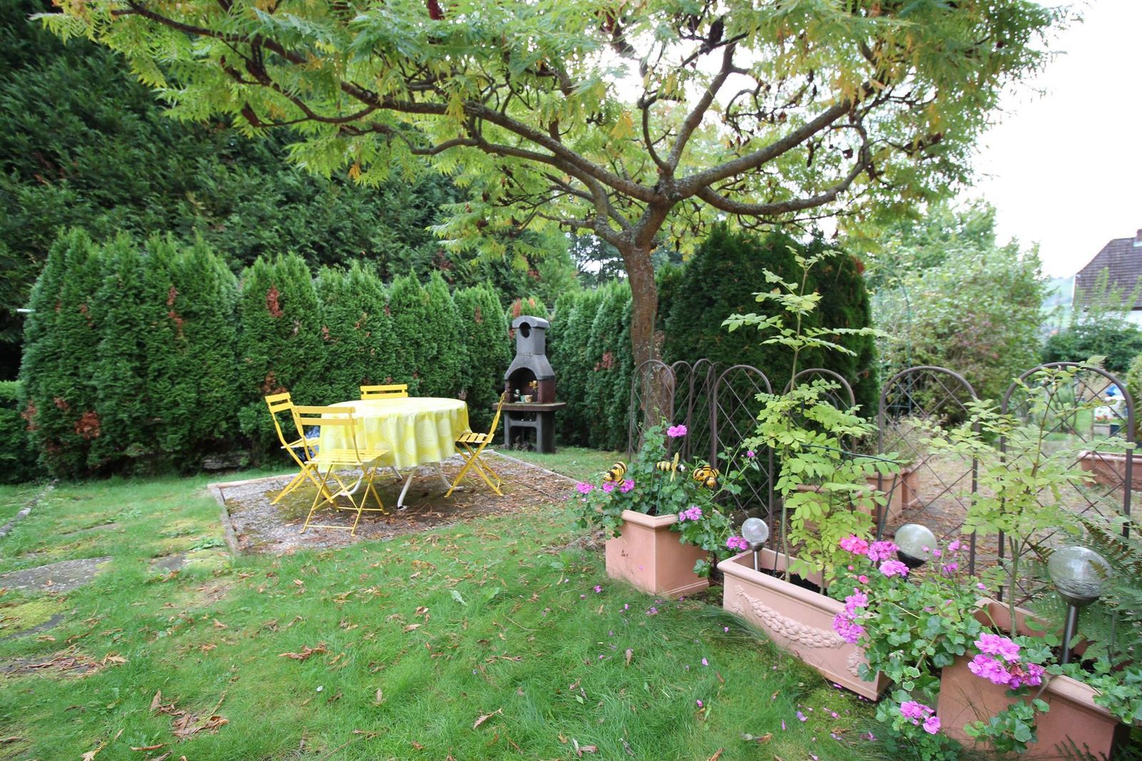 jardin