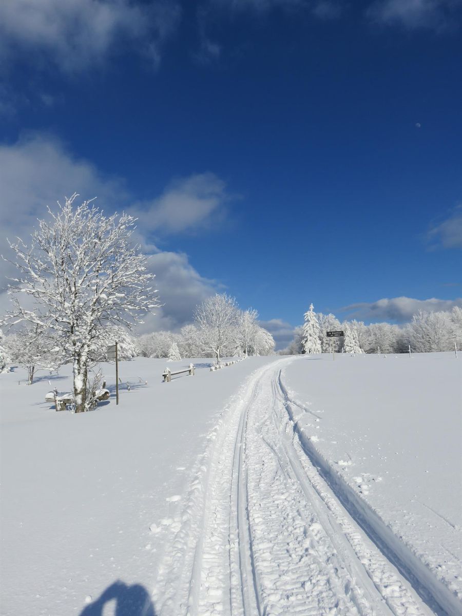 ski de fond au Schnepfenried