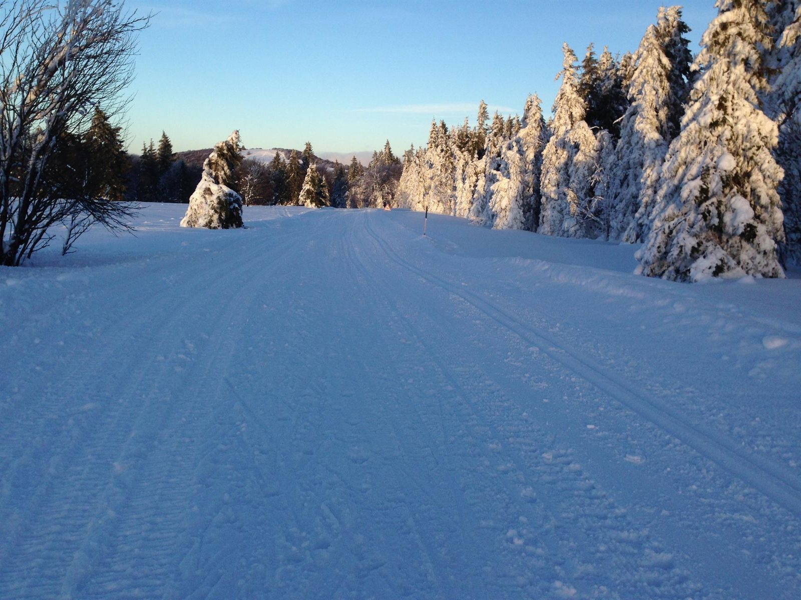 Ski de fond au Schnepfenried