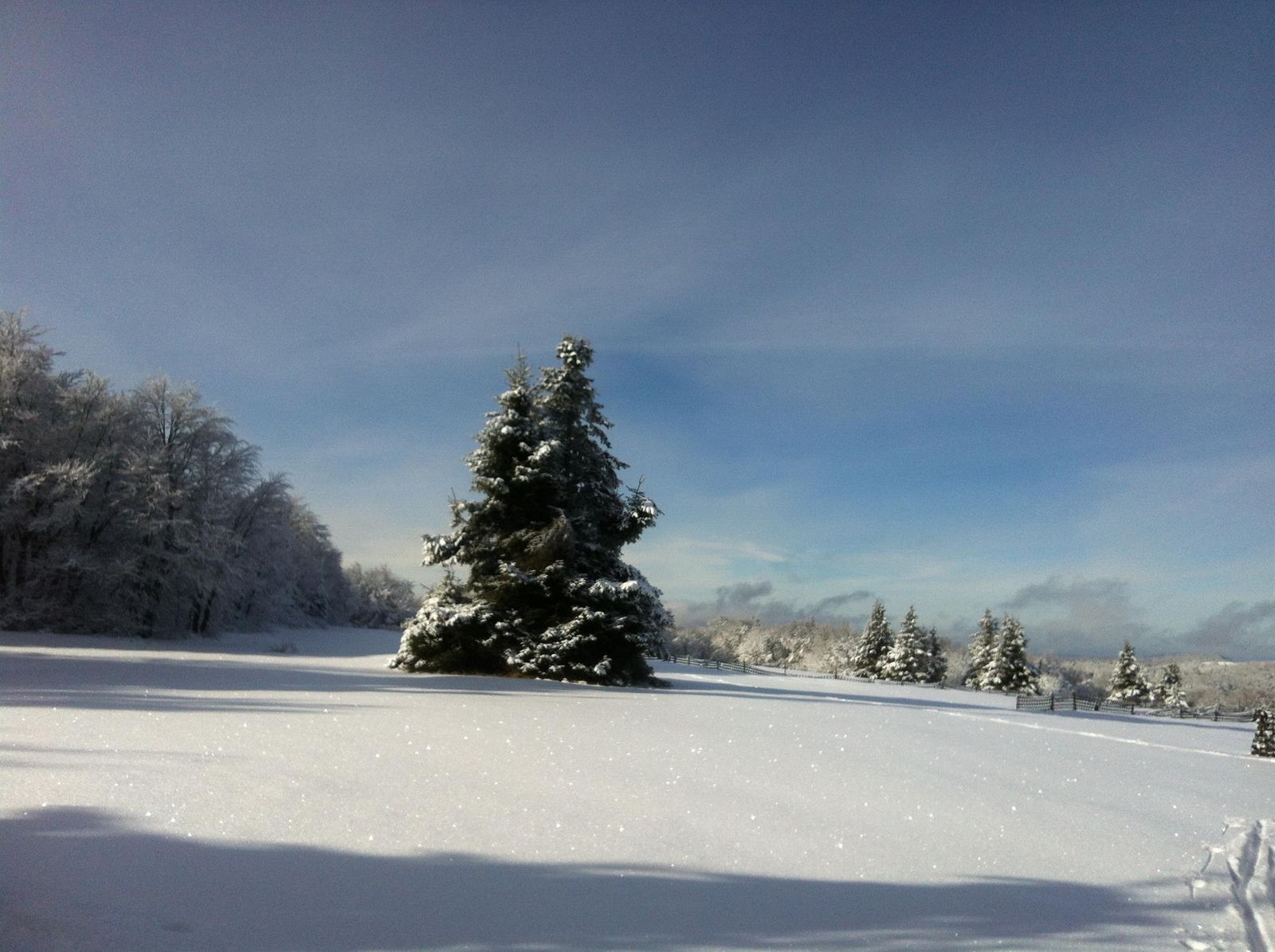 Sur les hauteur au Schnepfenried