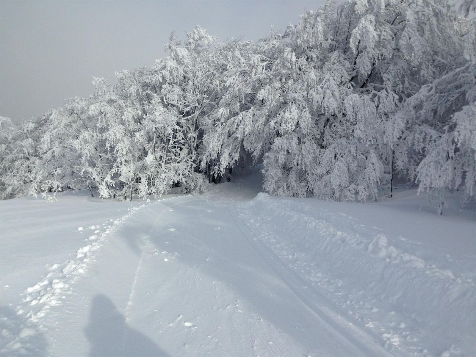 Piste ski de fond au Schnepfenried