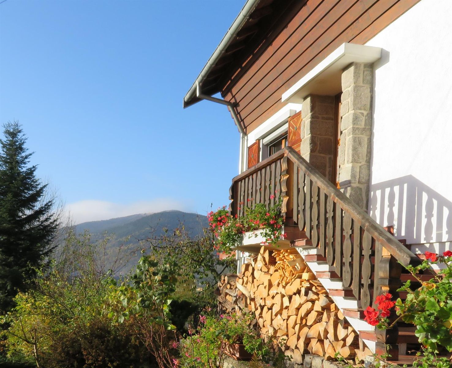 VUE de entrée