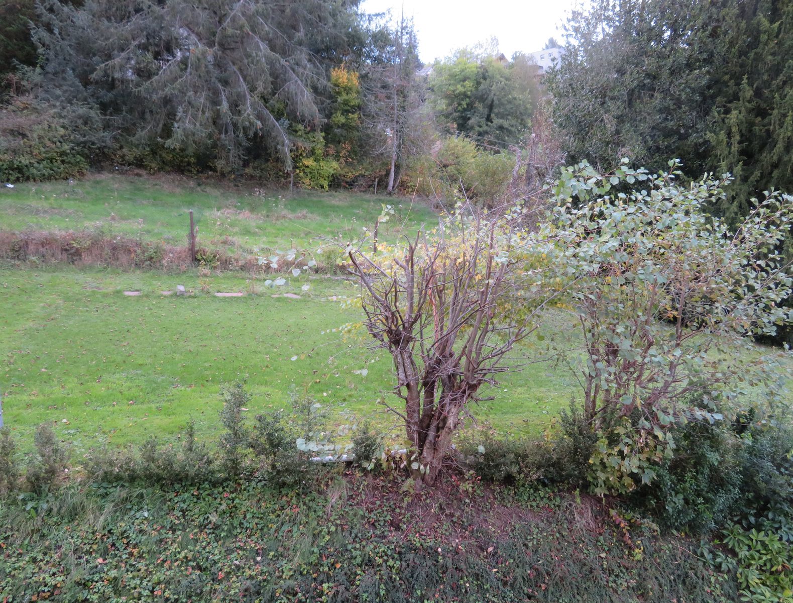 Vue de la chambre 3