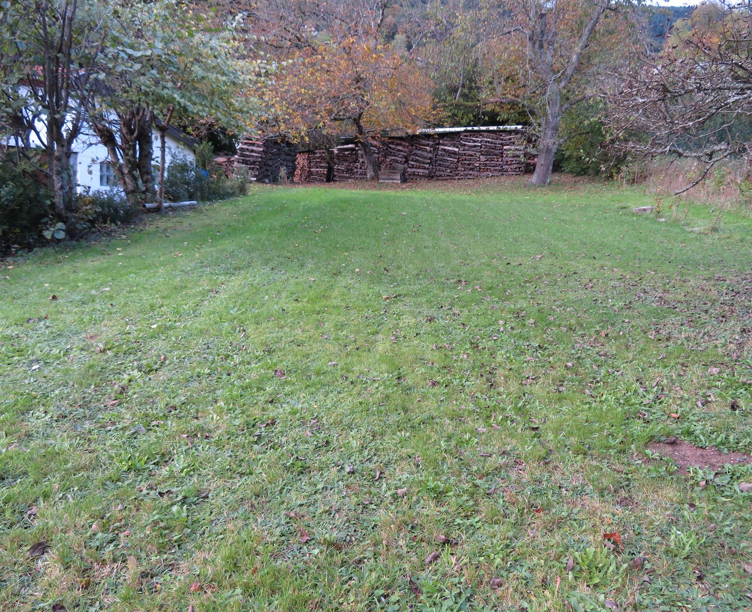 Jardin automne