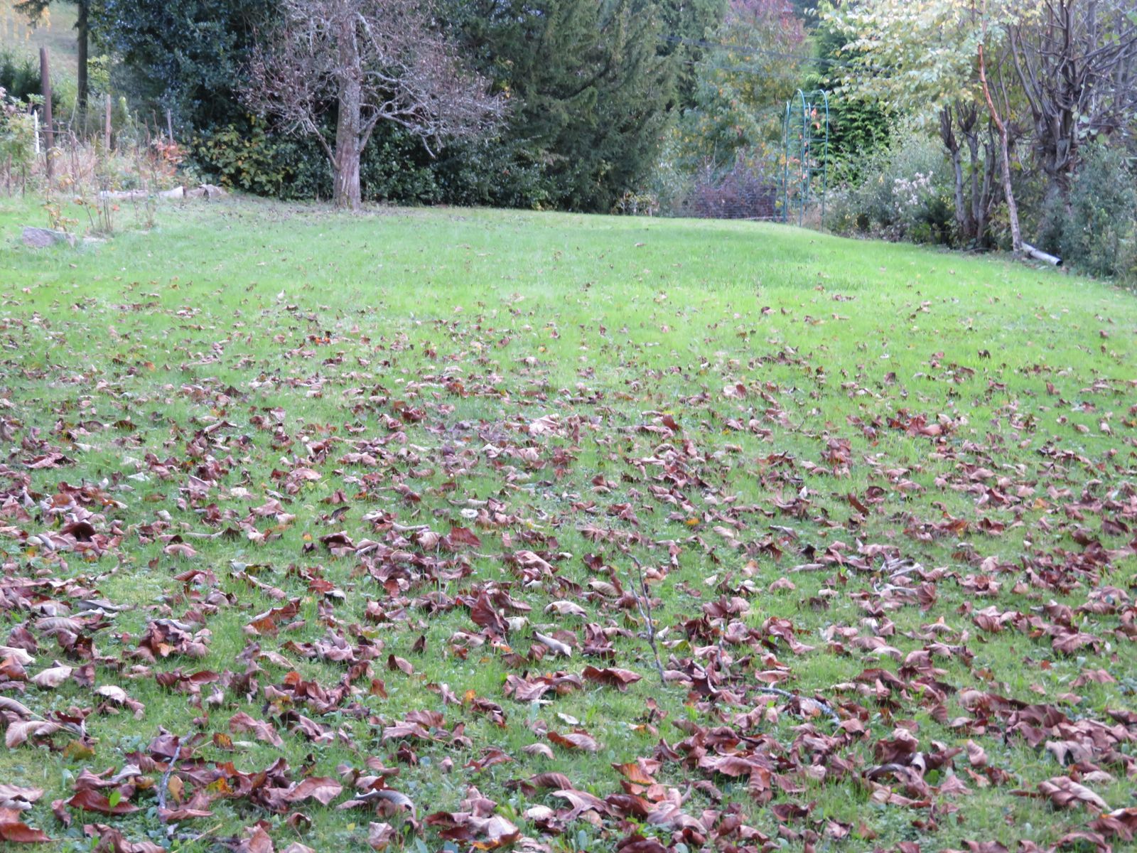 Jardin