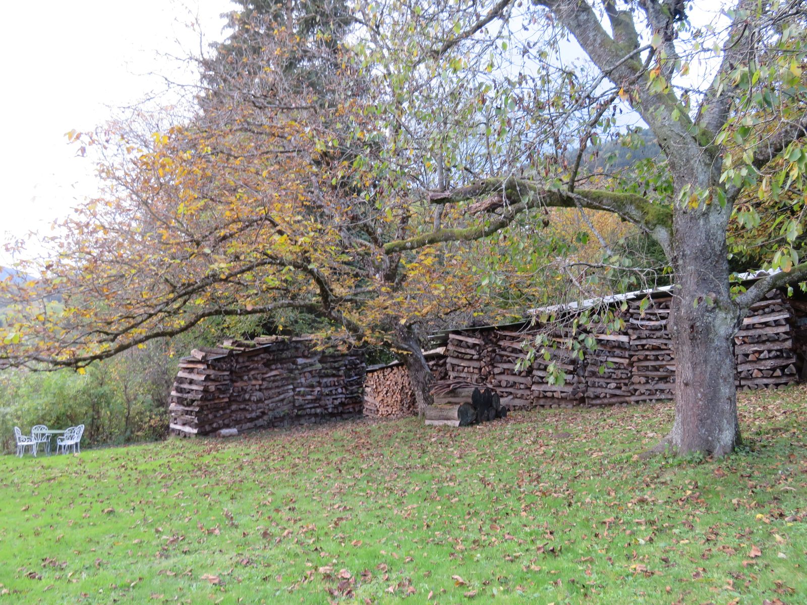 Début automne