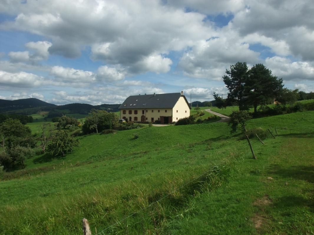Photo_1