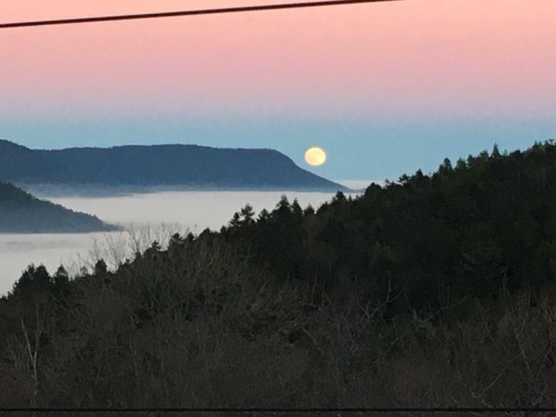 Vue brouillard