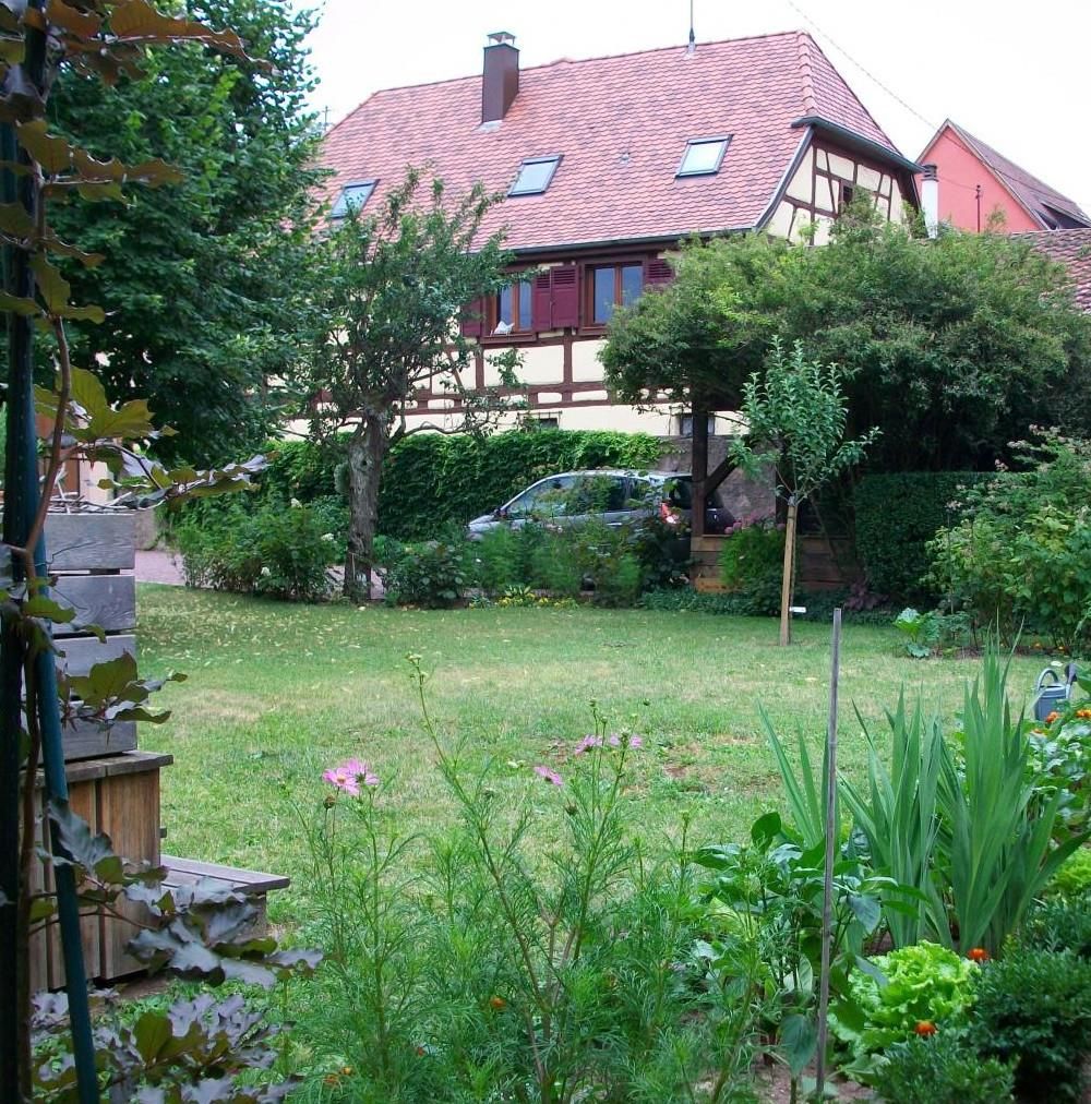 Coin de jardin  et de potager vus de la chambre