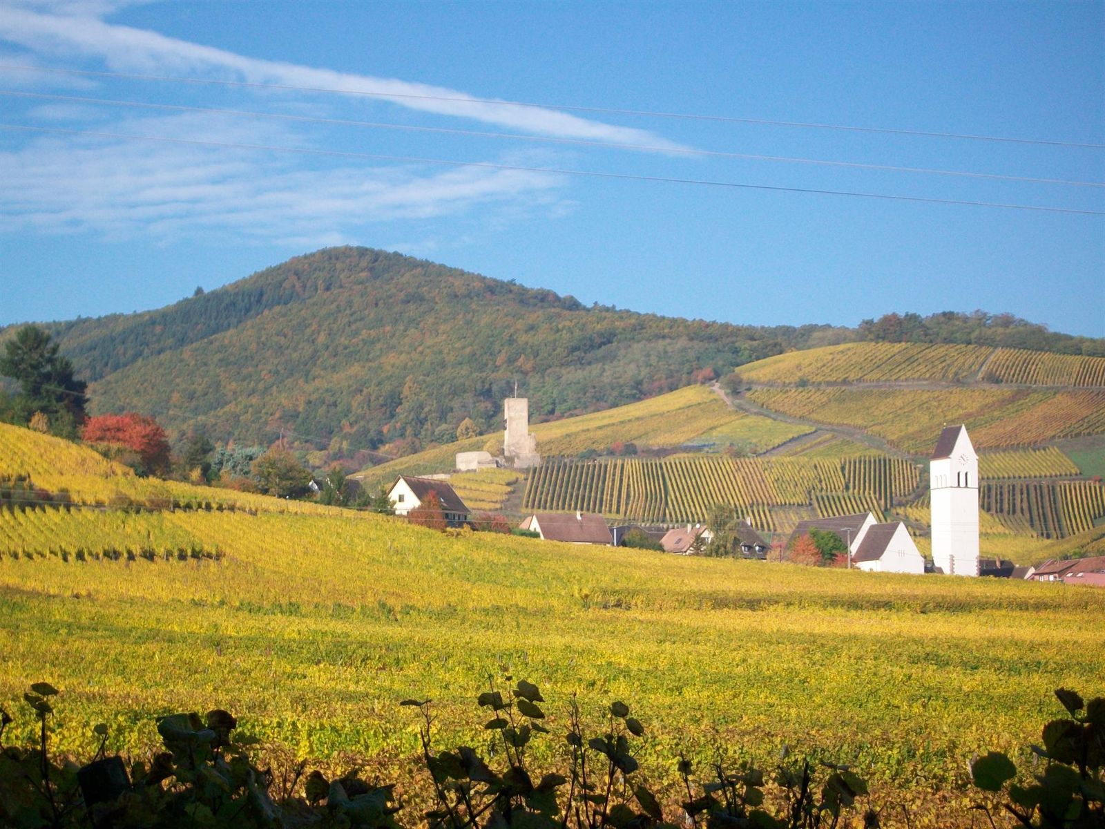 Katzenthal au creux des vignes