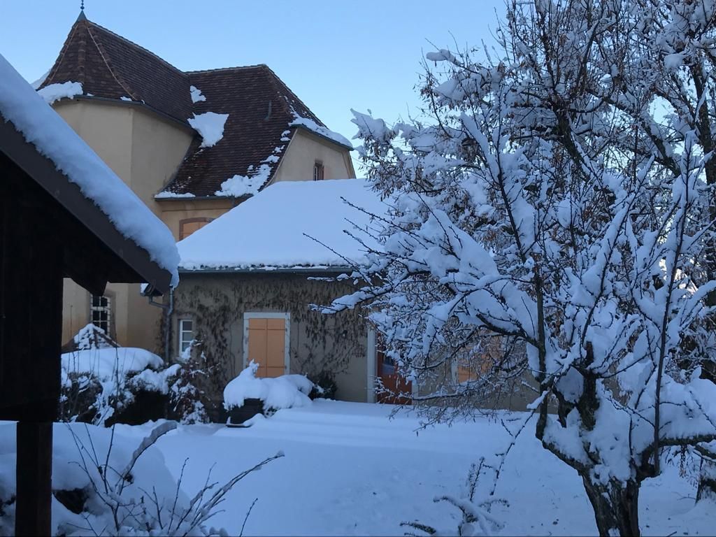Neige exceptionnelle en janvier 2021 !