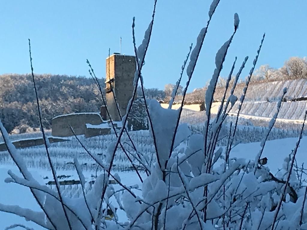 Wineck sous la neige 2021-01-15