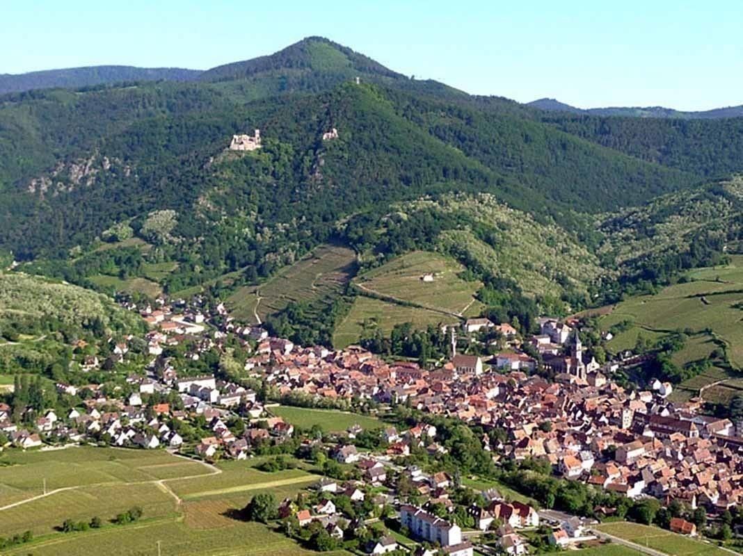 vue arérienne de Ribeauvillé