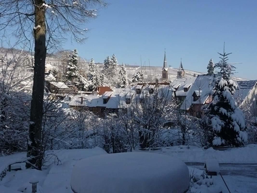vue hivernale depuis le gîte