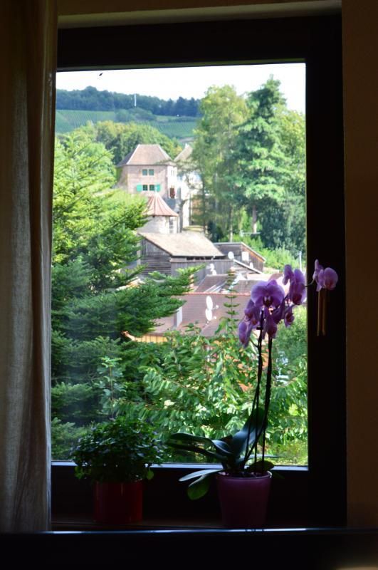vue depuis le salon