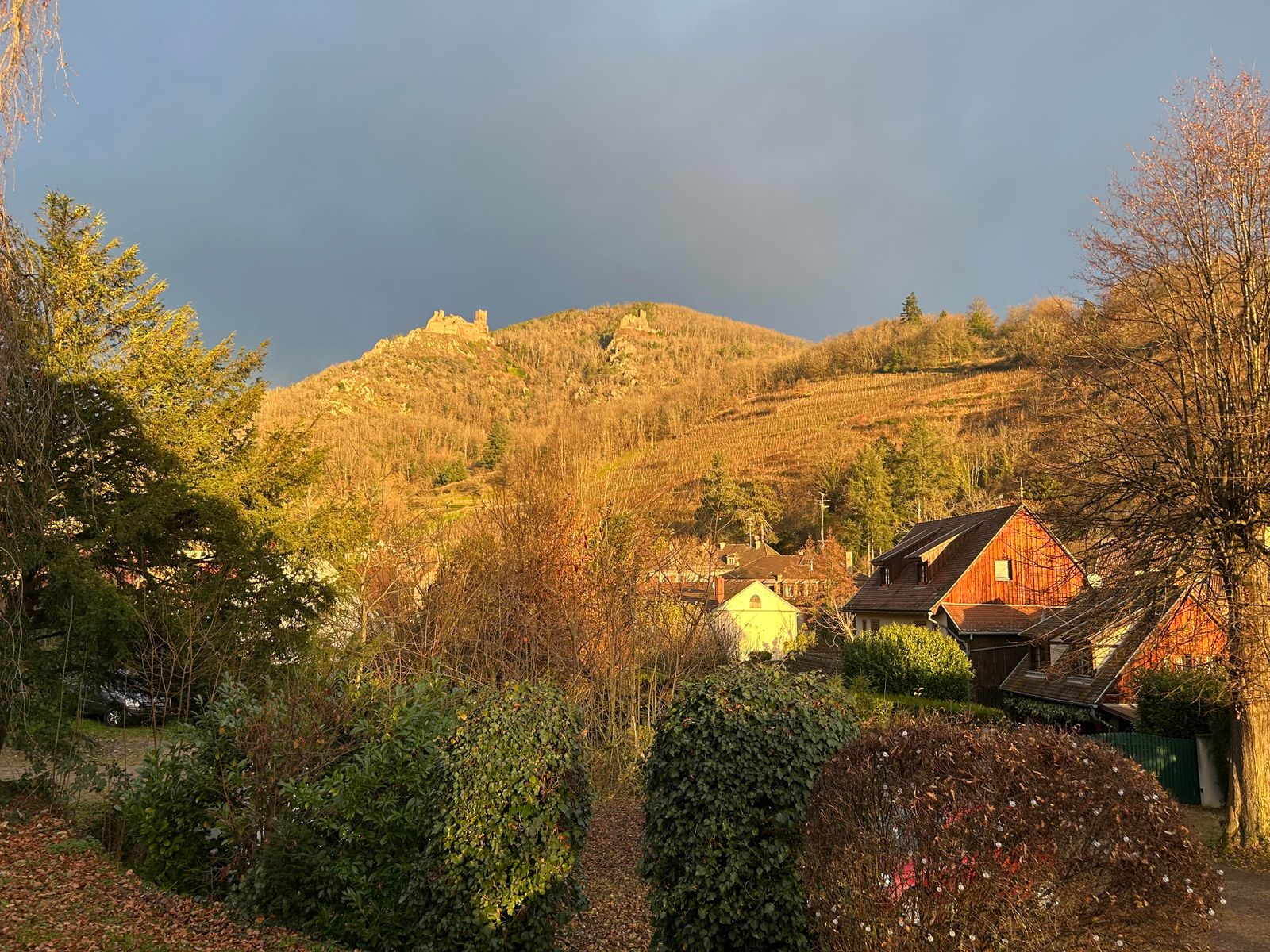 vue hivernale depuis le gîte