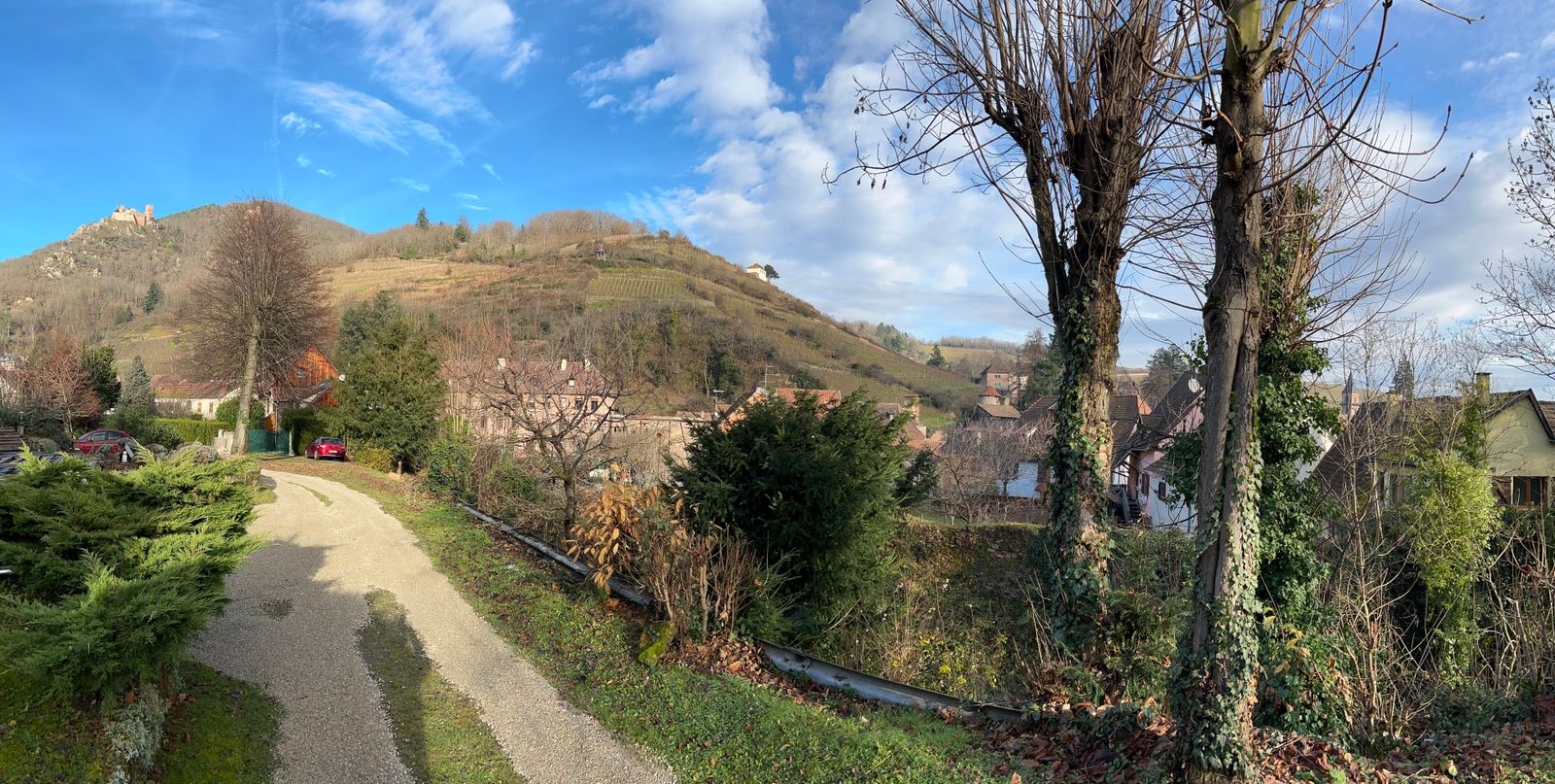 Des Ecureuils
