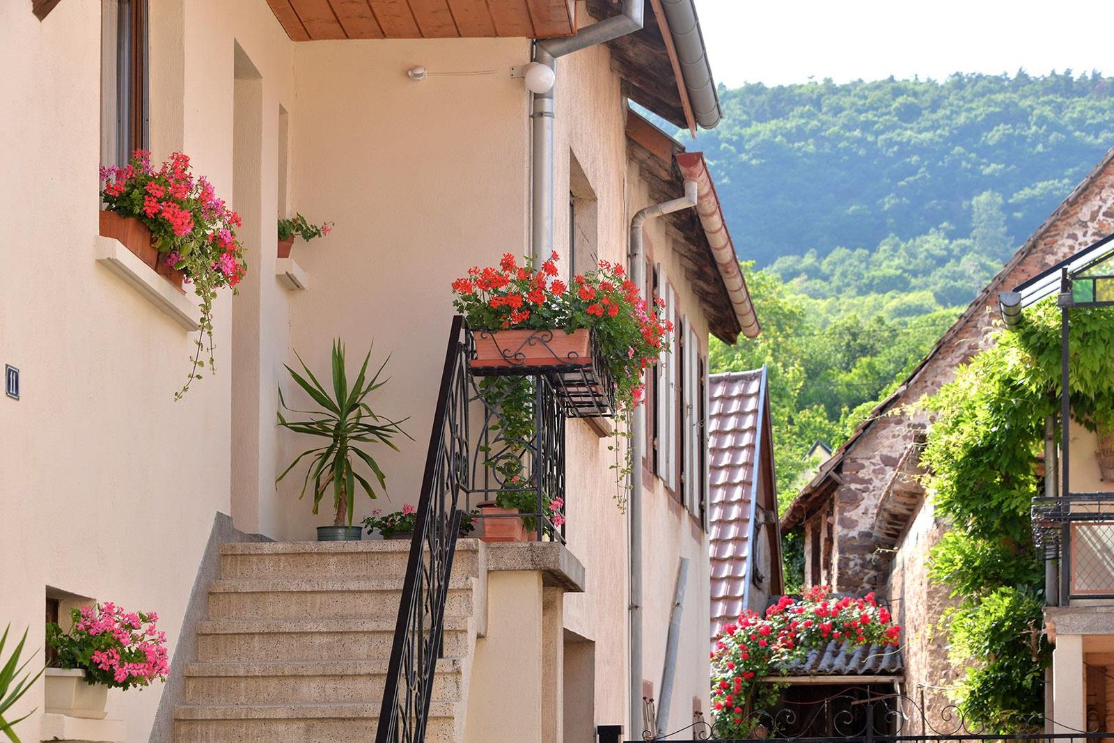 Gîte de Marguerite face Nord