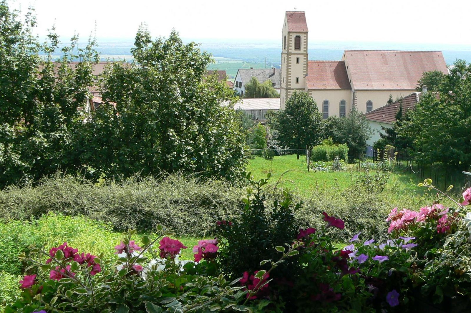 De Marguerite_17