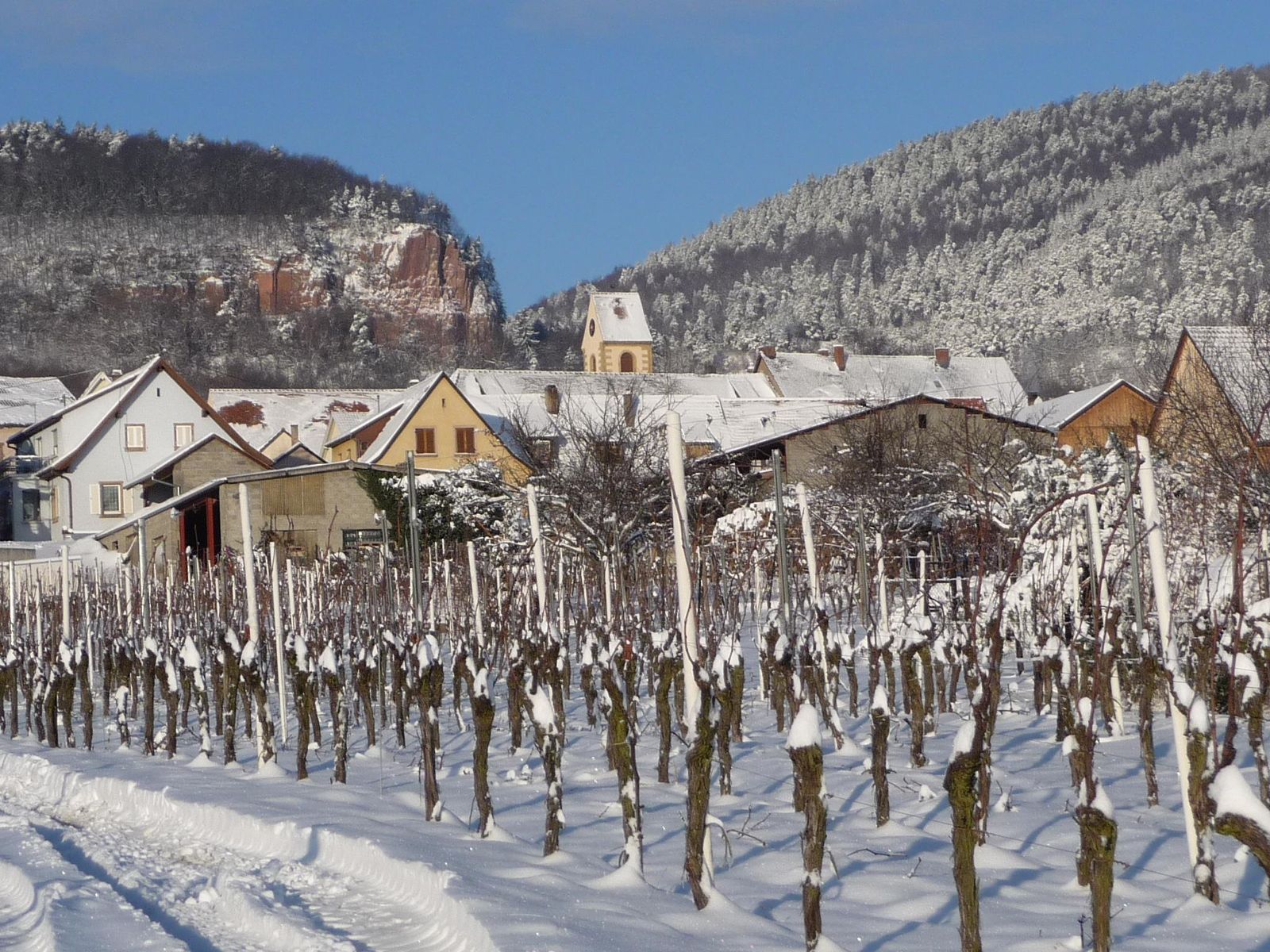 village_et_vignoble_en_hiver