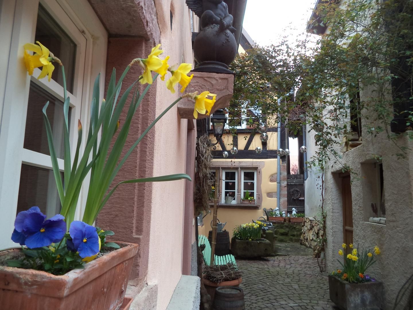 la cour au printemps...