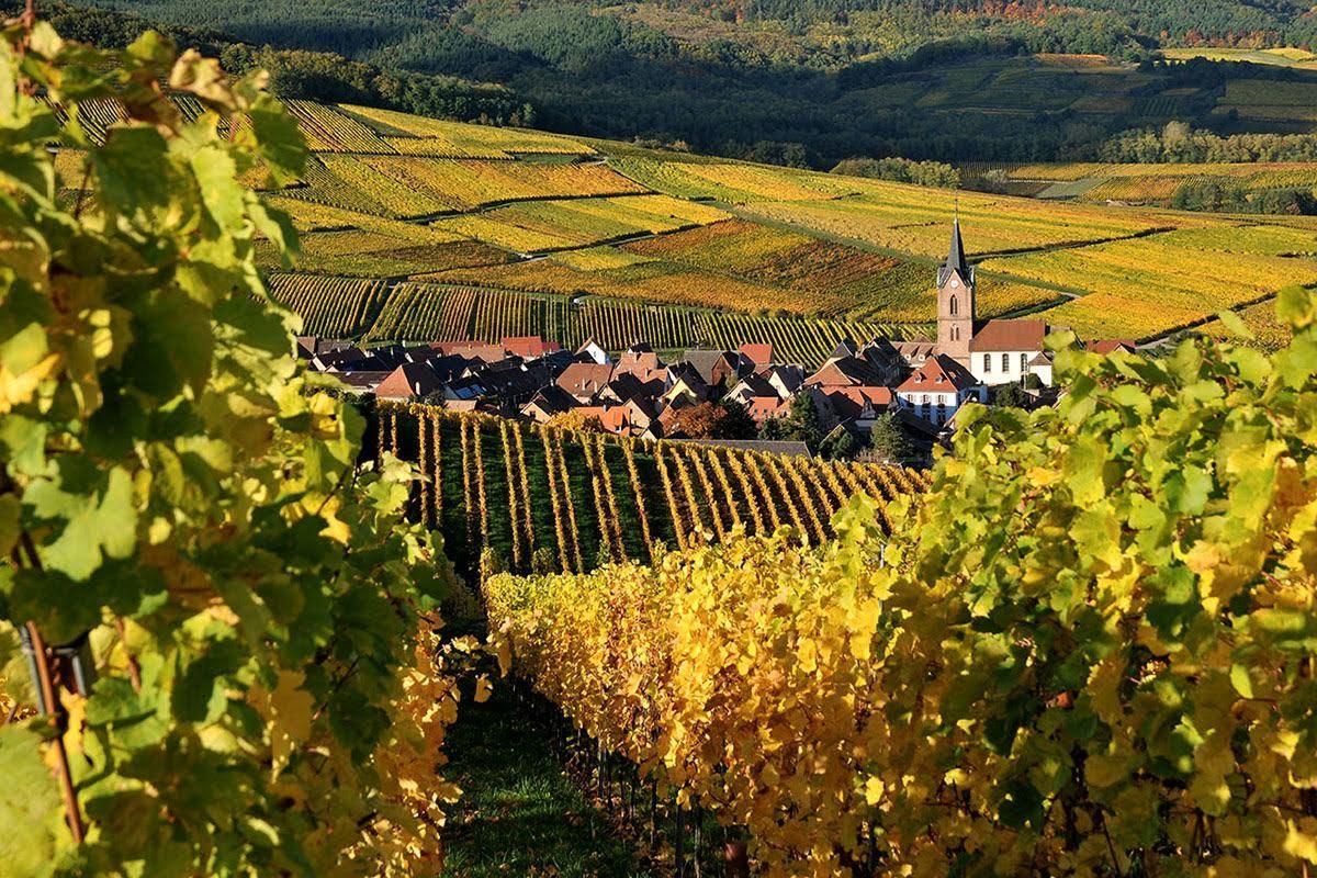 le vignoble en automne...